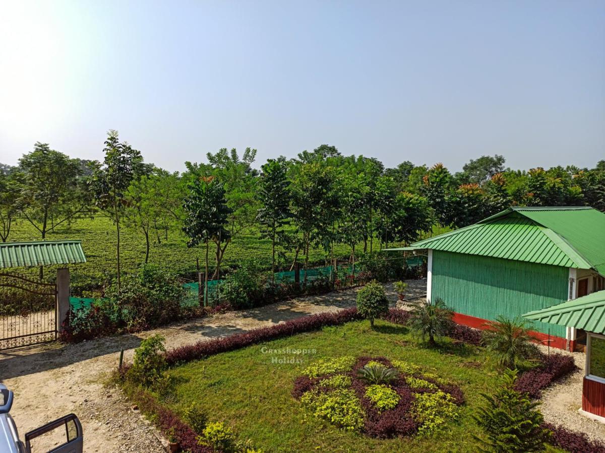 Grasshopper Jungle Queen Resort Chālsa Zewnętrze zdjęcie